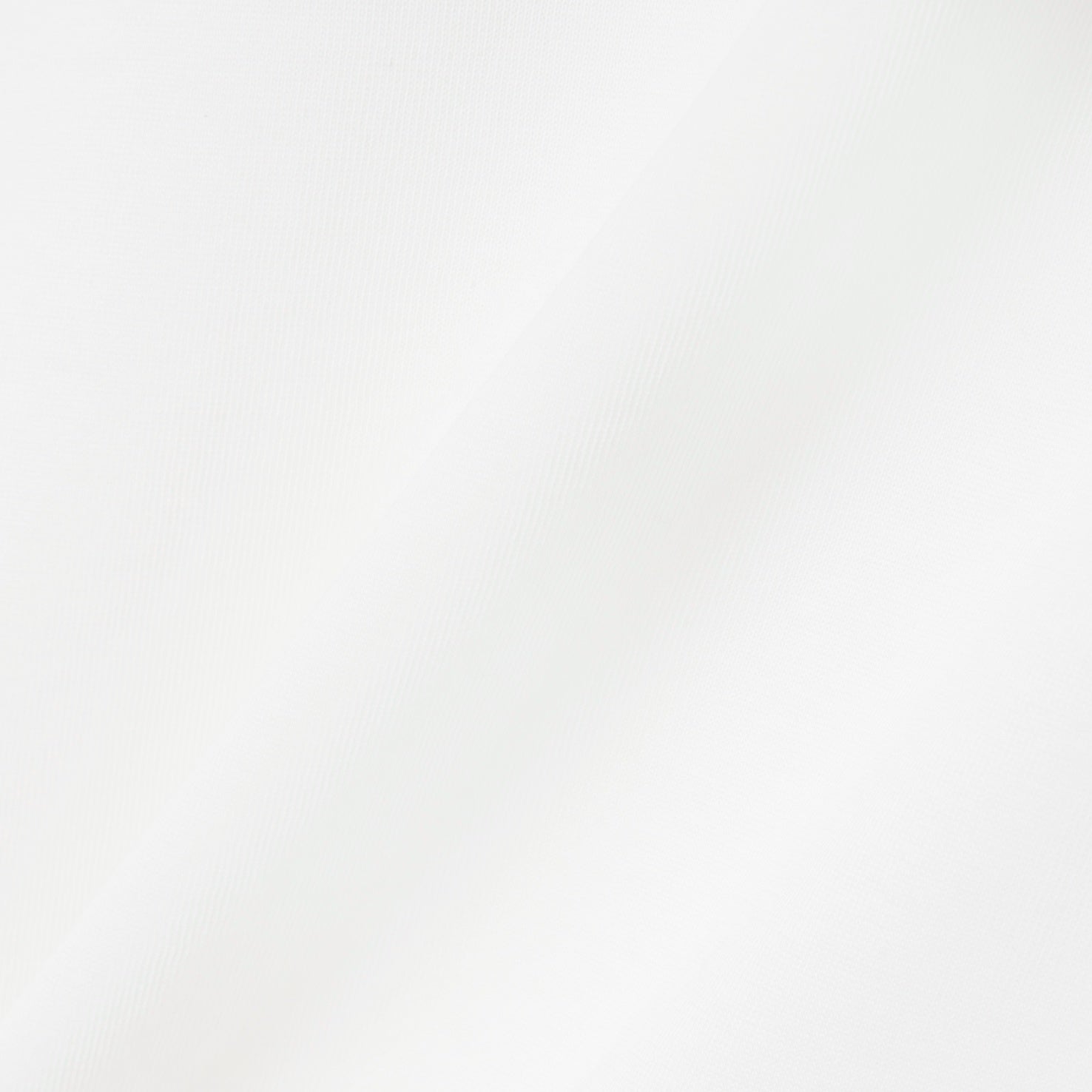 【ラコステ/LACOSTE】『ダニール・メドベージェフ』ラケットプリント ウルトラドライTシャツ