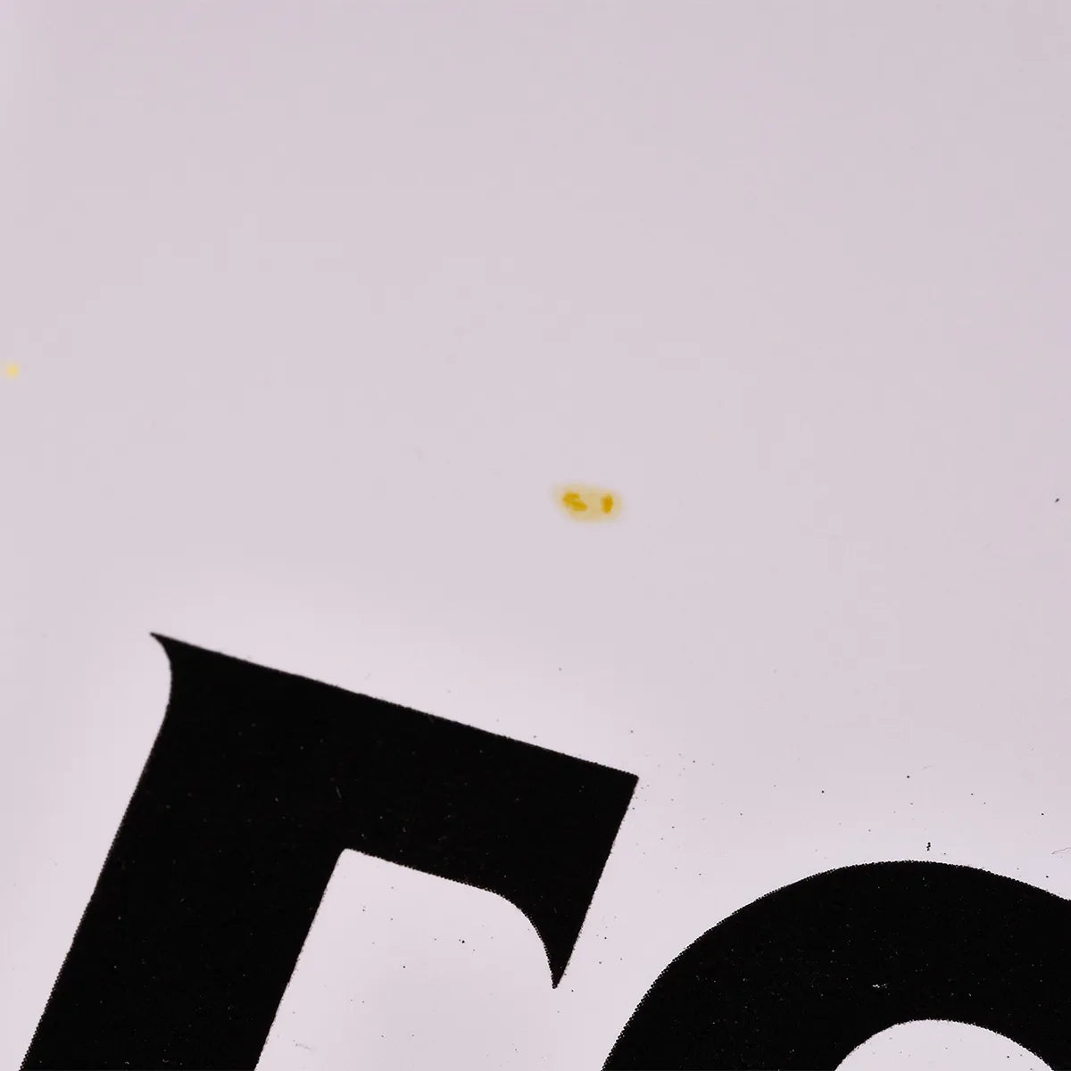 『ビートルズの誕生 Birth of The Beatles』 映画 ポスター イタリア オリジナル