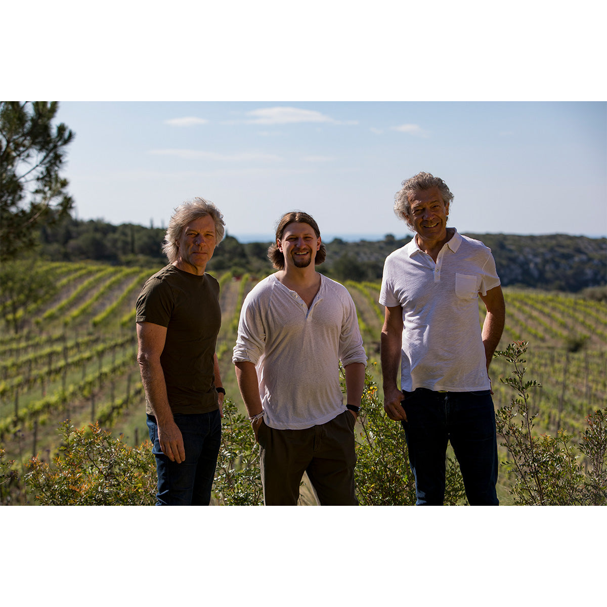 ダイビング・イントゥ・ハンプトン・ウォーター・ロゼ