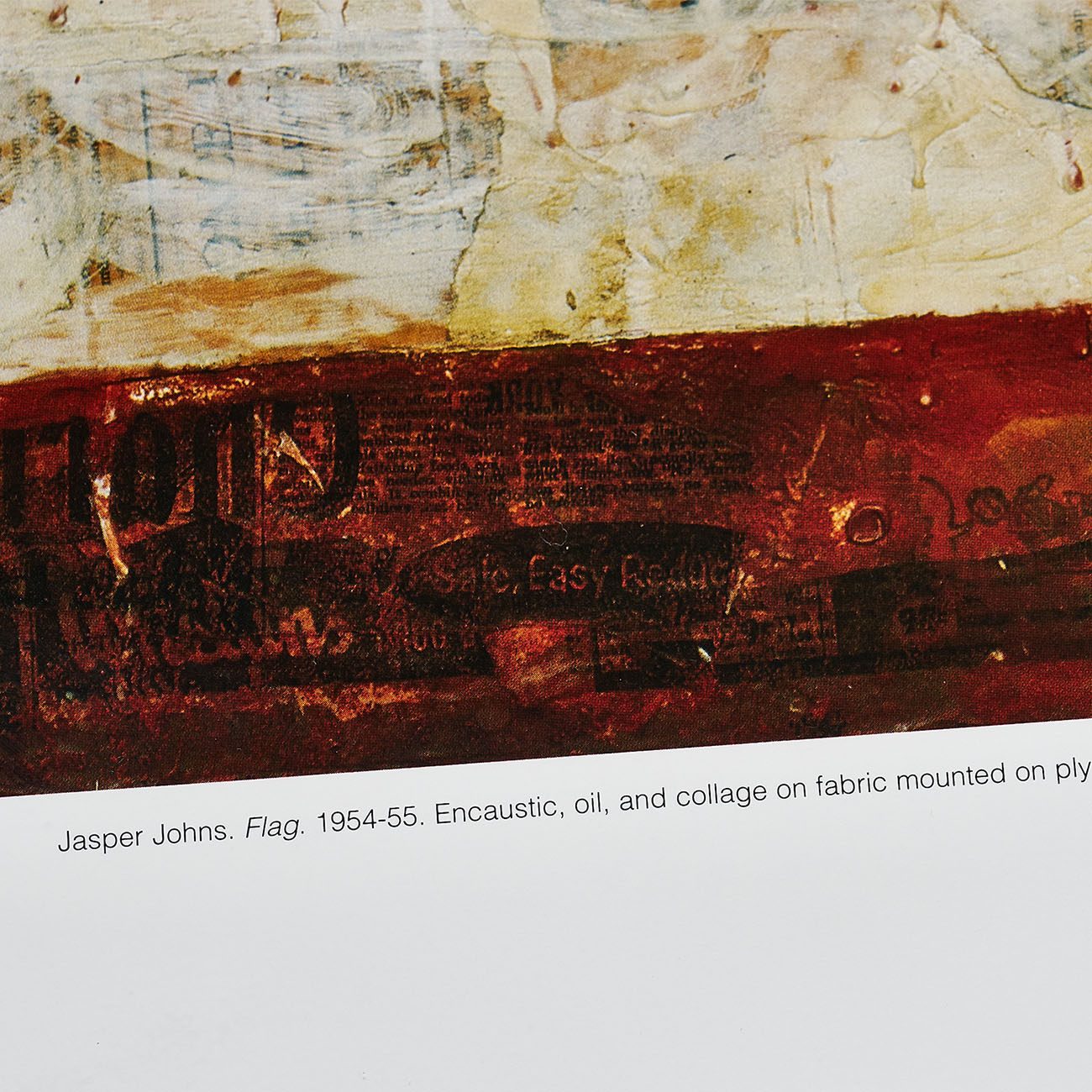 FLAG 1954-1955 - The Museum of Modern Art, New York 1989 / ジャスパー・ジョーンズ