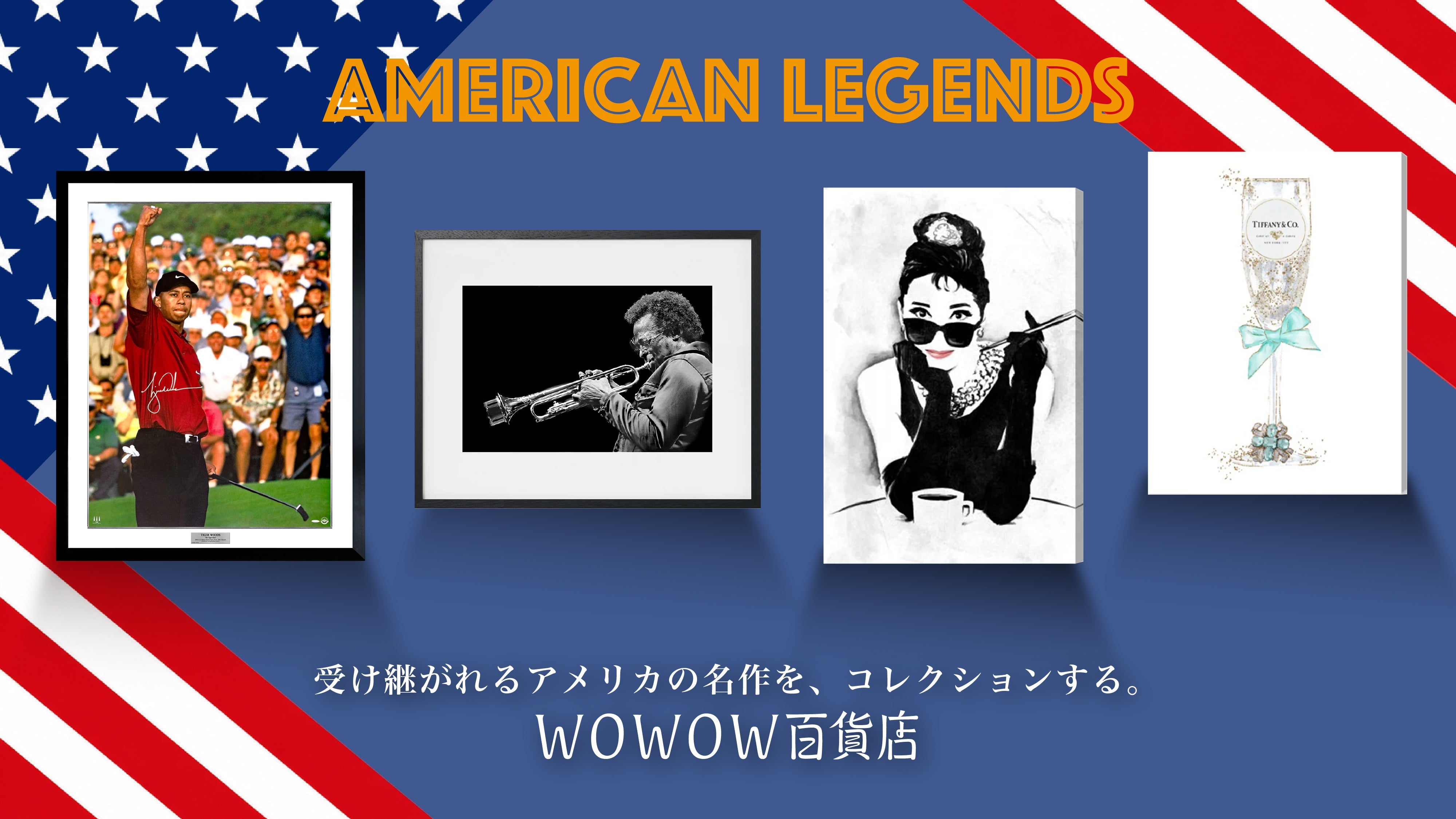 アメリカ特集（コレクションアート）