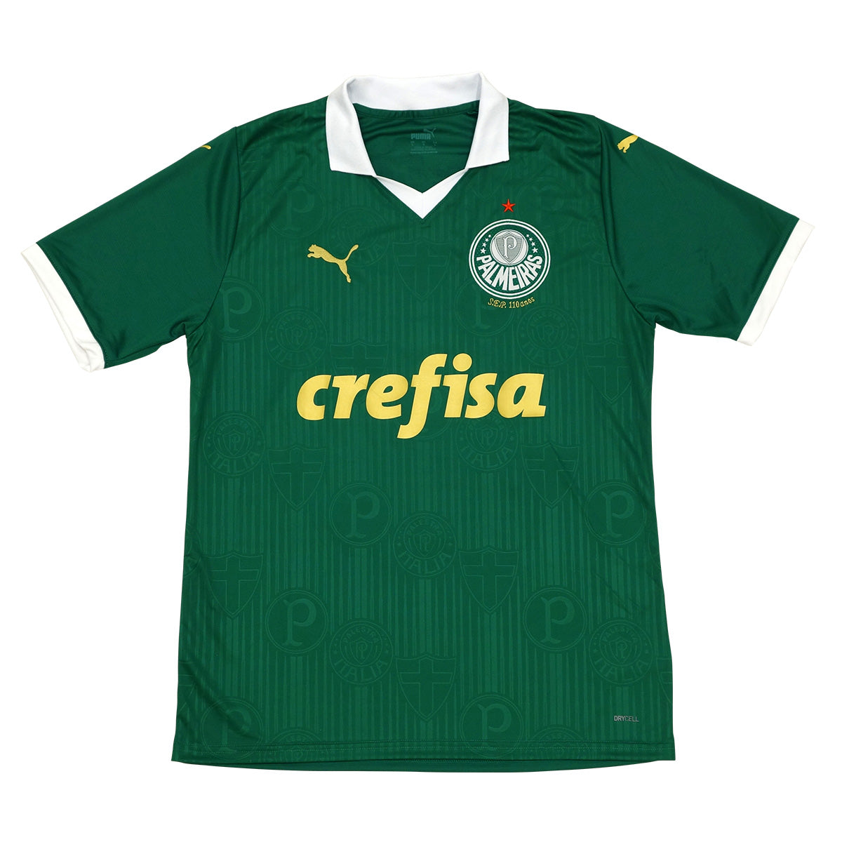 メモラビリア】エステバン直筆サイン入りパルメイラス2024ホーム