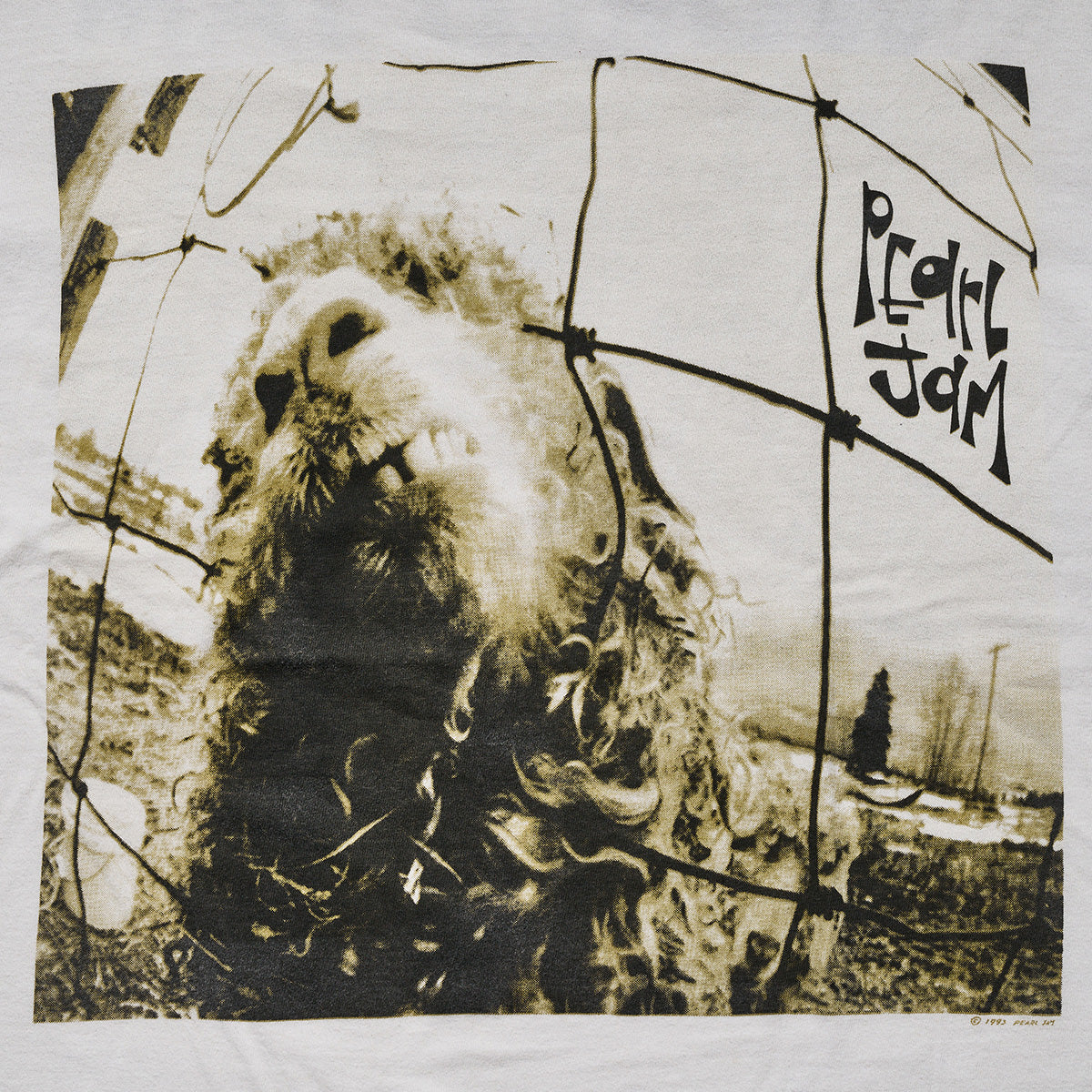 ベルベルジン遊歩道店】'90s パール・ジャム/PEARL JAM Tシャツ