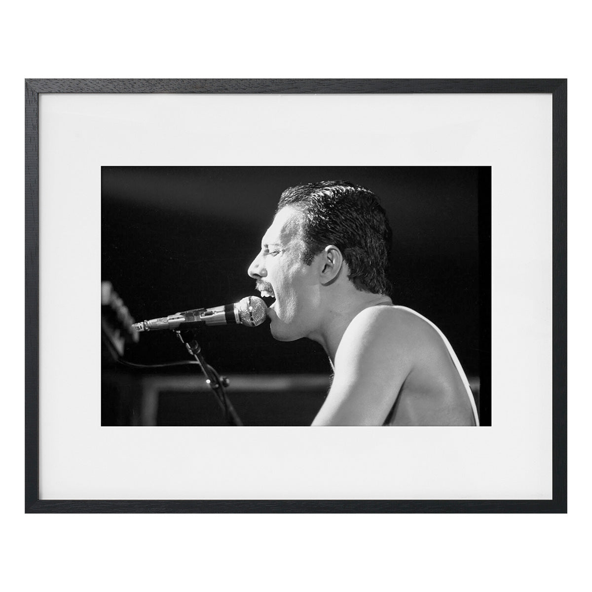 FREDDIE MERCURY SUR SCENE （フレームセット) 【YELLOWKORNER】クイーン