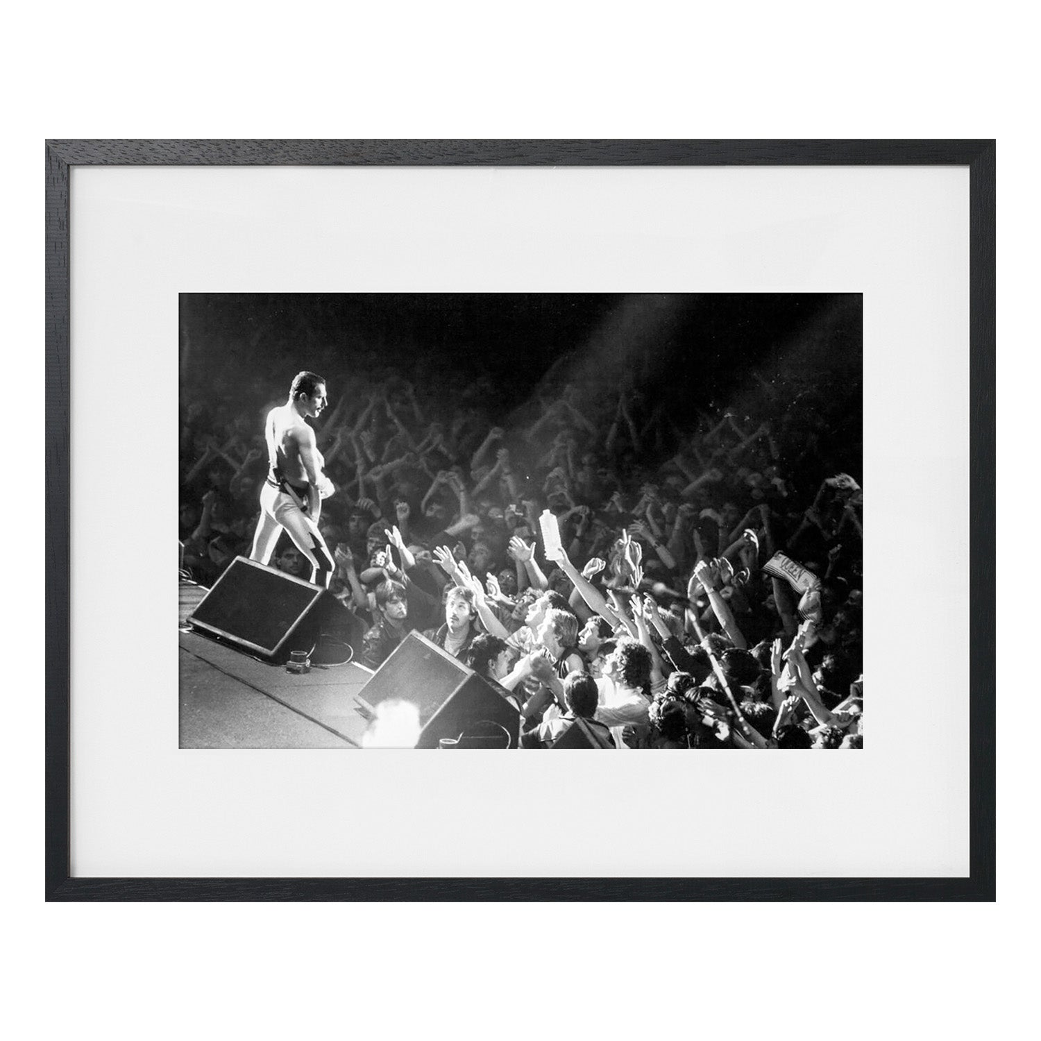 Freddie Mercury au Palais des Sports de Paris, 1984（フレームセット）【YELLOWKORNER】クイーン