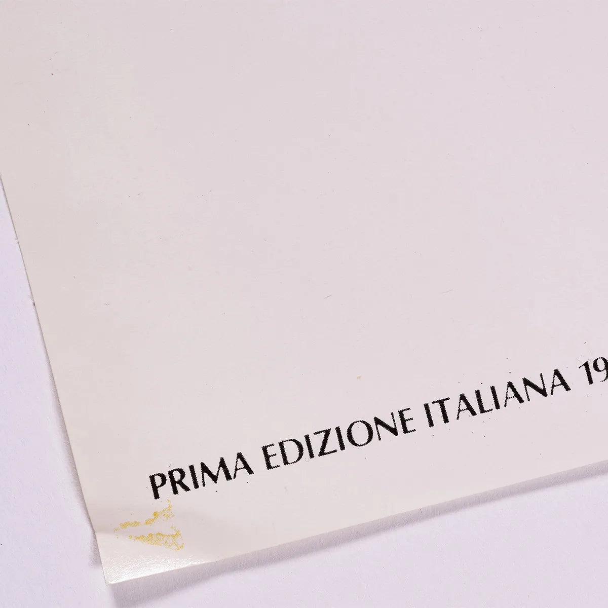 『ビートルズの誕生 Birth of The Beatles』 映画 ポスター イタリア オリジナル