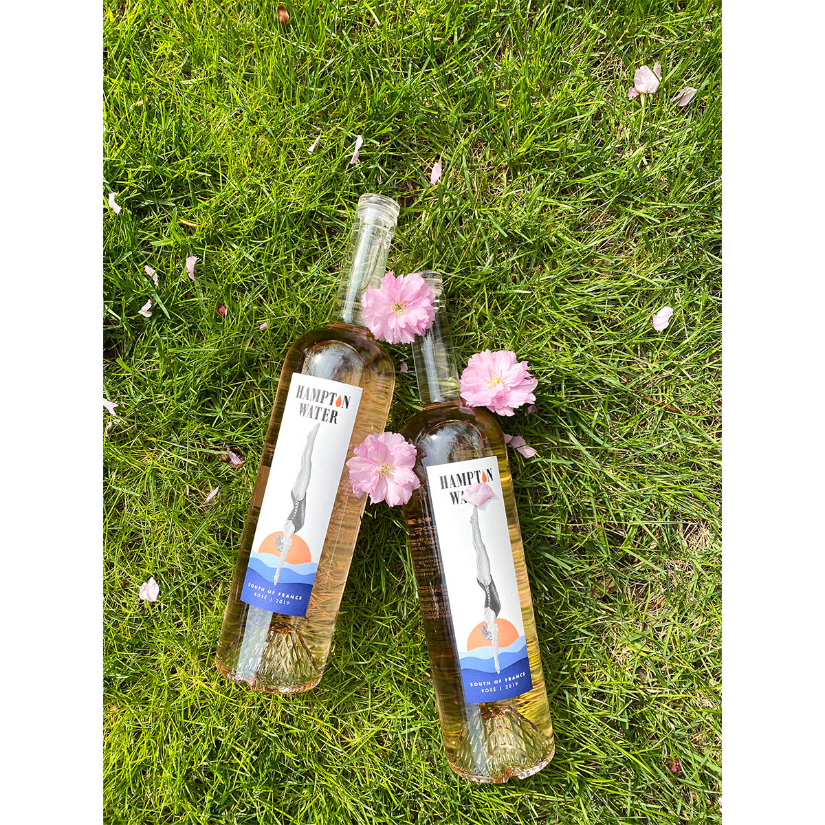 ダイビング・イントゥ・ハンプトン・ウォーター・ロゼ