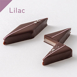 【ラウ】iro（ボンボンショコラ）9粒 Assortment