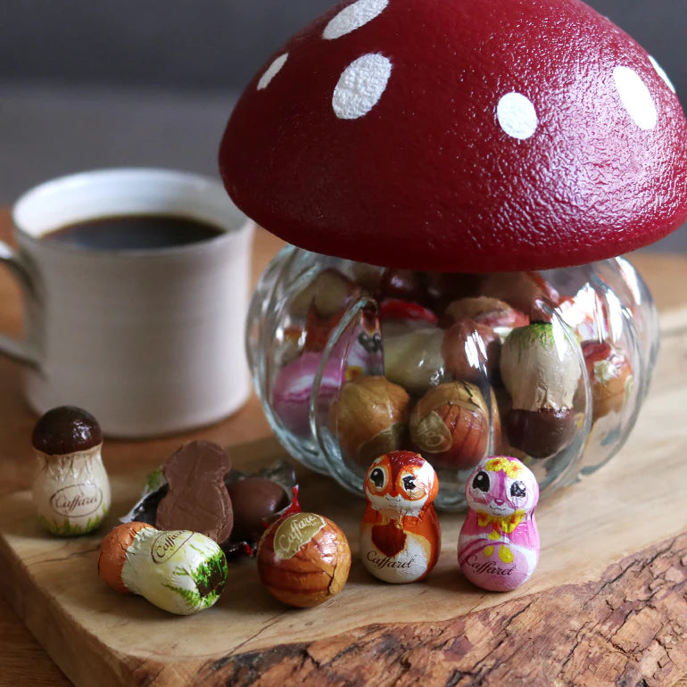 【Caffarel/カファレル】森のきのこポット