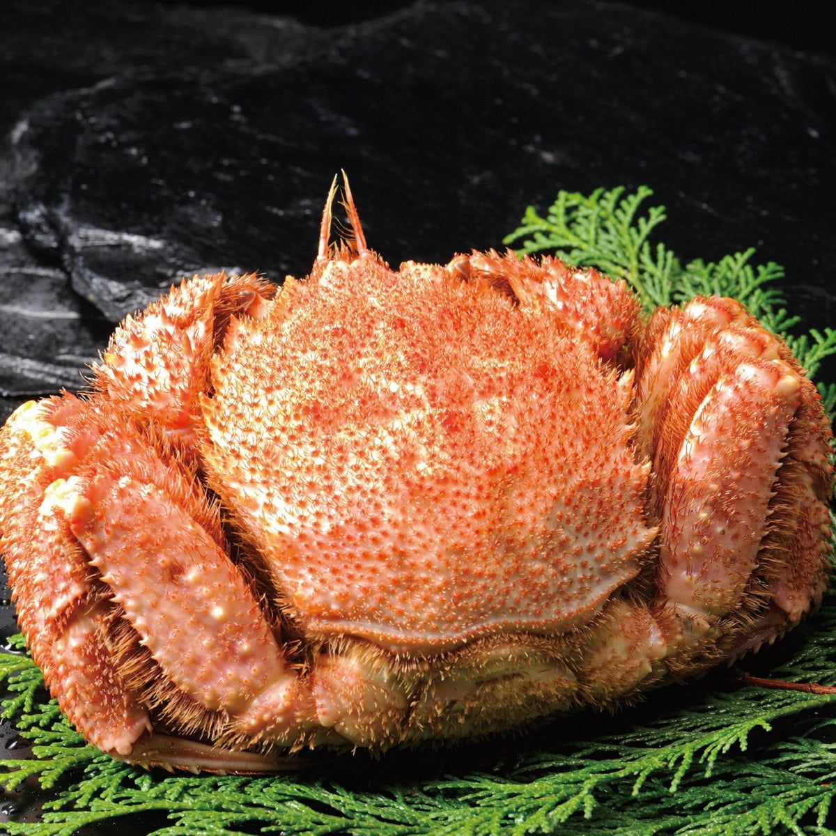 丸高水産】北海道産ボイル毛がに｜北海道物産展 | WOWOW百貨店