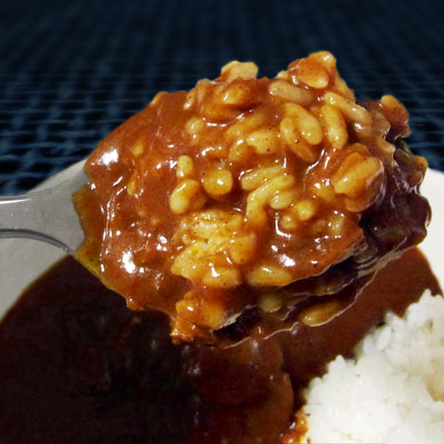 【宇宙グッズ】宇宙日本食｜JAXA認証　スペースカレー（ビーフ）（購入期限：2026/3/2まで）