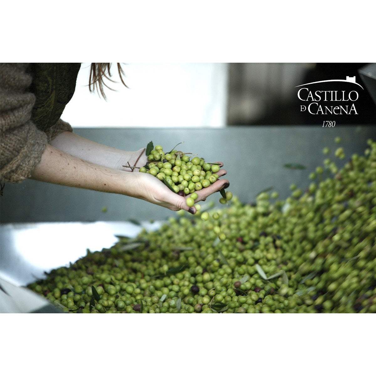 【匠の塩】クリスマス島の塩ギフト＆冷燻オリーブオイルギフト（購入期限：2026/8/31まで）