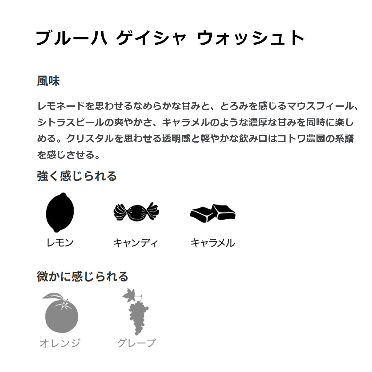 【ミカフェート・COFFEE HUNTERS】コトワ農園 ゲイシャ 精選違いセット