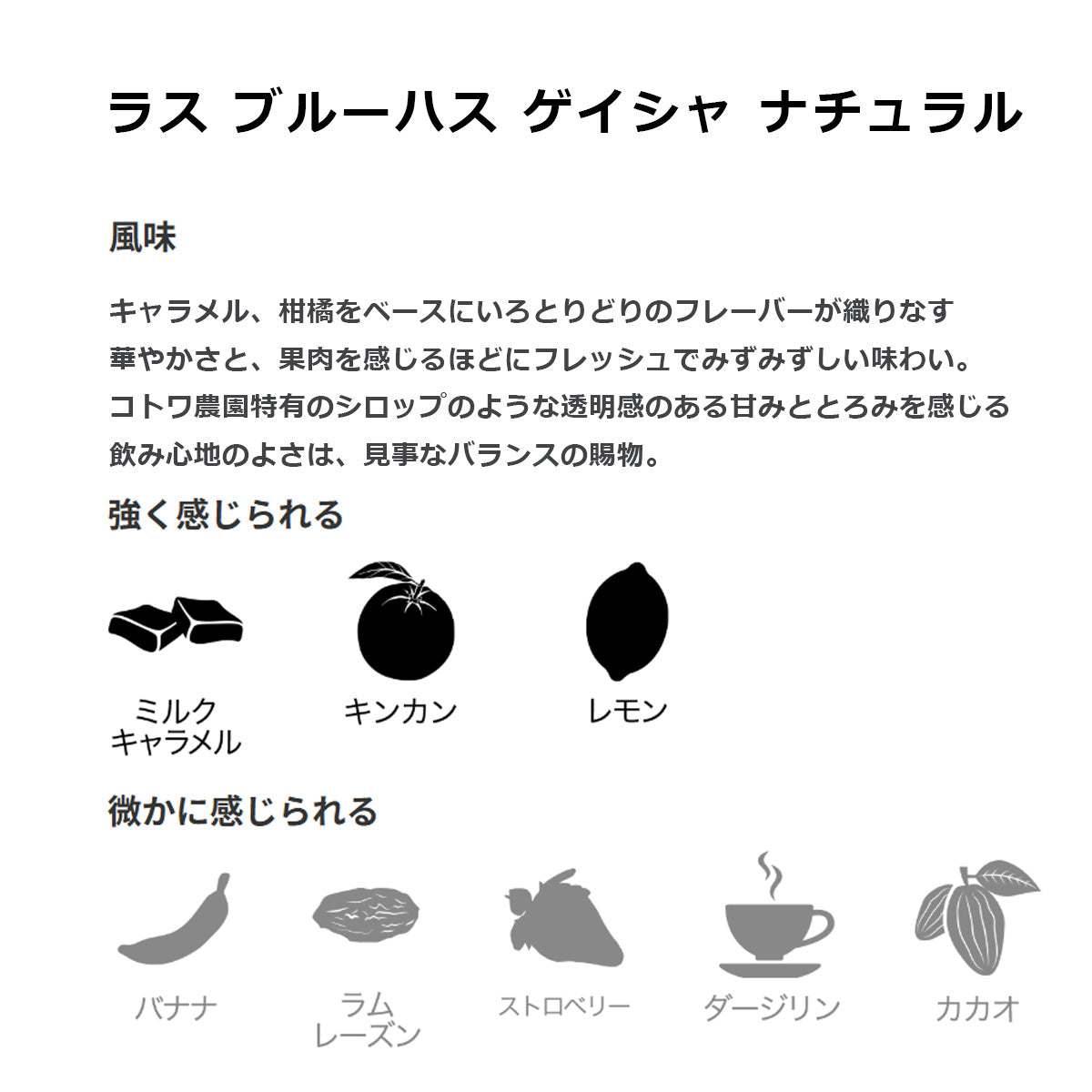 【ミカフェート・COFFEE HUNTERS】コトワ農園 ゲイシャ 精選違いセット