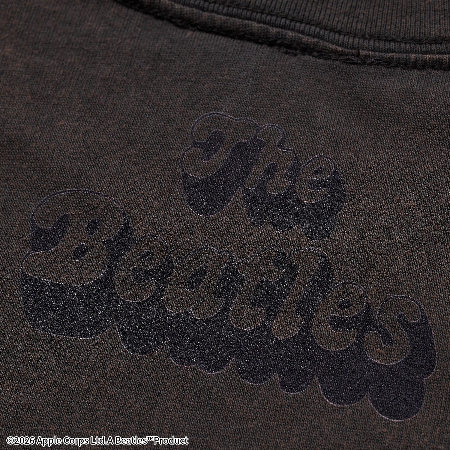 ザ・ビートルズ  RAIN Tシャツ