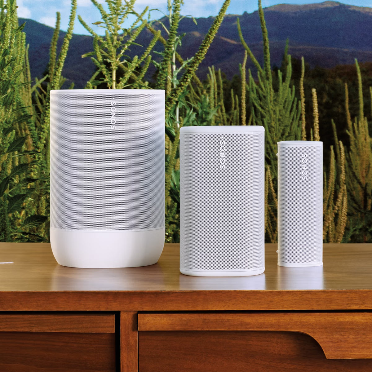 Sonos Play (ポータブルスピーカー）