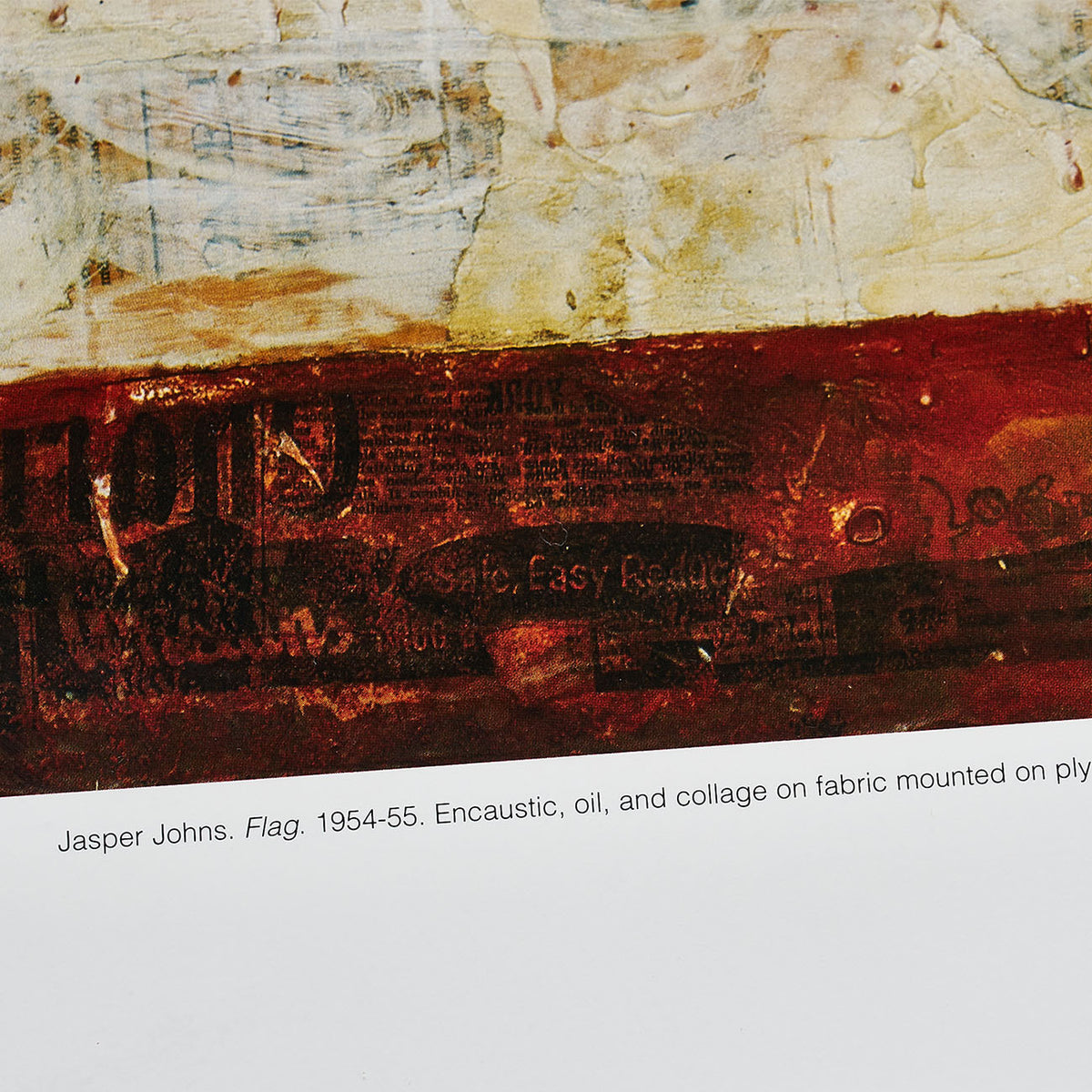 FLAG 1954-1955 - The Museum of Modern Art, New York 1989 / ジャスパー・ジョーンズ