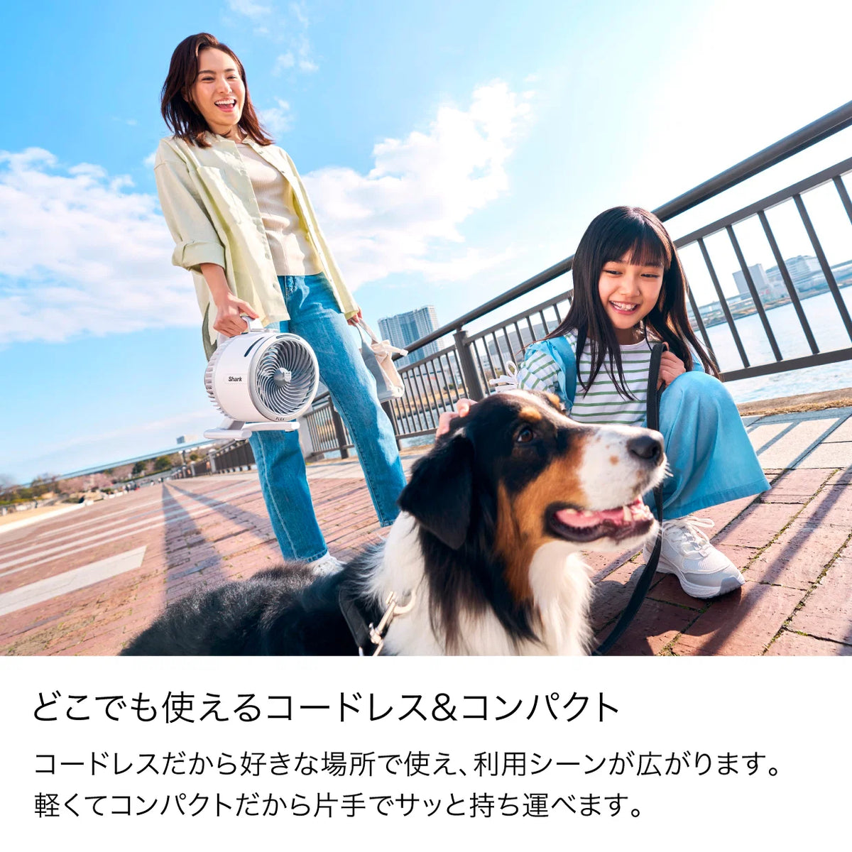 Shark FlexBreeze HydroGo コードレスサーキュレーターファン（※販売期限：10/31（土）まで）