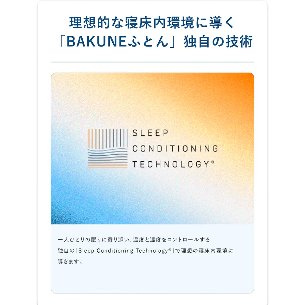 BAKUNE 掛け布団 オールシーズン 通年用掛け布団（※販売期限：10/31（土）まで）