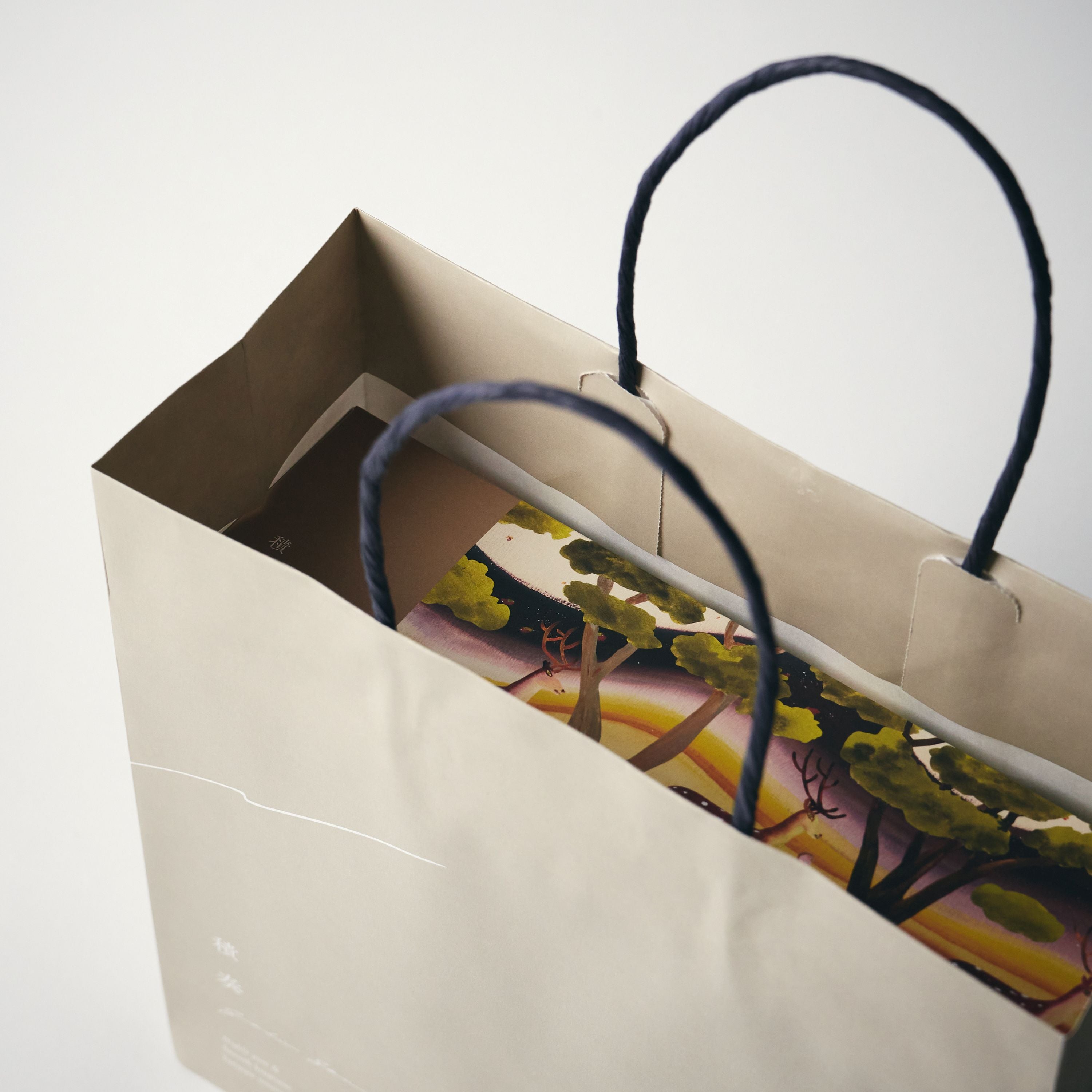 ガトーガナッシュ 生キャラメルショコラ＆抹茶ショコラ+紙袋付 （販売期限：2026/4/30まで）